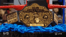 big-gold-belt-big-gold
